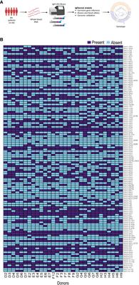 Analysis of IGH allele content in a sample group of rheumatoid arthritis patients demonstrates unrevealed population heterogeneity